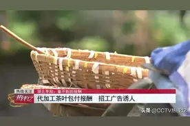 在家代工包装茶能月入过万？男子拖家带口干了一星期，仅收到100余元图片