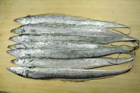 买带鱼时，聪明人专挑这4种买！鱼肉新鲜品种优质，营养又美味图片