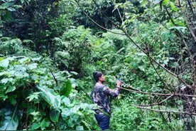 一个米其林厨师，带全家人深山开餐厅，吃一次2000块图片