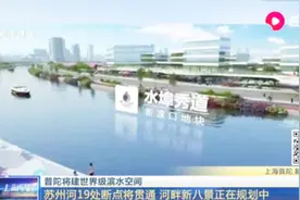 普陀将建世界级滨水空间！苏州河畔新八景正在规划中视频封面