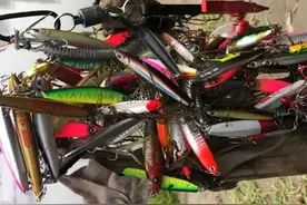 幸运？四川钓鱼人河里钓起烂布条上面挂满了假鱼，网友：发财了图片