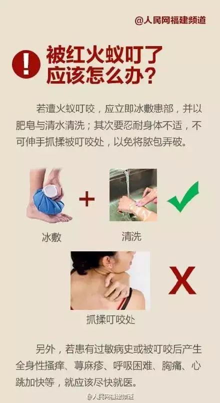 紧急提醒!红火蚁出没漳州!千万别碰!县政府已启动疫情防控