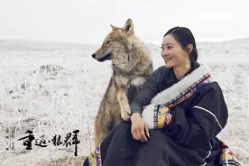“中国第一狼女”李微漪：十年前卖房救狼，十年后与狼重逢太感动图片