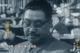 重磅电视专题片《同心共筑中国梦》中，讲述了这些广西故事图片
