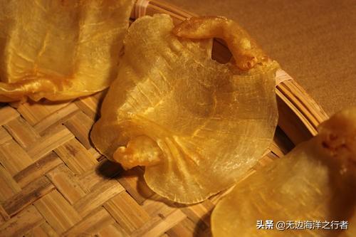 鱼胶多少钱一斤干的鱼肚 2025年鱼胶多少钱一斤多少