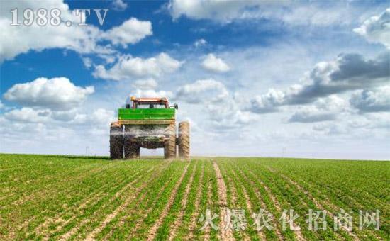 新型肥料鱼蛋白为何如此受欢迎？鱼蛋白肥料究竟有什么作用呢？