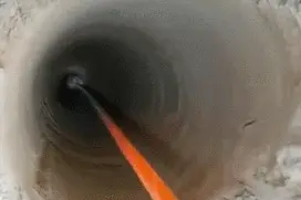 好有爱！为救被困流浪猫他们停工3小时图片