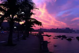美丽的广东珠海，浪漫的情侣路旁有唯美的夜景图片
