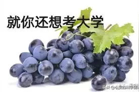 全国一卷地理题 难倒一众考生的“顺坡垄”到底是啥？图片