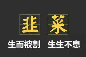 狂割韭菜！支付代理爆出惊天收割大案，23万交易额仅有5元分润图片