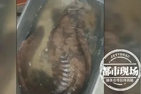 罕见！男子夜钓到一条10斤重“怪鱼”，长约1米图片