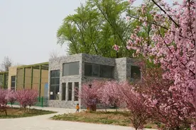 人少景美！焦作市中心还藏着一个“百兽园”图片