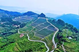 大巴山生态康养之旅第2站：邂逅“蓝精灵”图片
