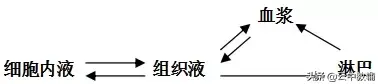 高中生物必修三知识点总结