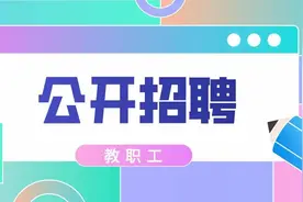 804名！西安高新区公办学校2021年度公开招聘啦！图片