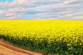 遇一人深情入骨，为一人相思无悔，不能守在身边，就在心里陪你图片