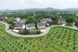 161个！四川乡村振兴重点帮扶村名单出炉，广安有这些村图片