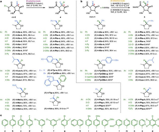 不用过渡金属催化剂的-氨基酸不对称芳基化