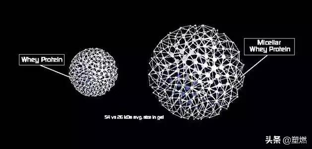 健身补剂No.1“乳清蛋白”和“酪蛋白”有什么区别和优势