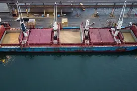 船舶去巴西装载大豆的，一定要看图片