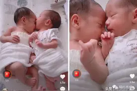 高迪计划再让大美怀“第四胎”！广东雨神购买某网红商品被坑。图片