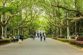 深耕长三角，中国新华教育过得还好吗？图片
