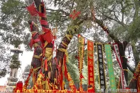 “要问我从哪里来？山西洪洞大槐树。”图片