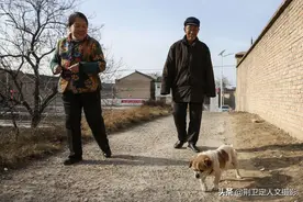 8旬农村老人家养小狗15年，形影相随成警卫，看看咋回事图片