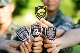 解放军特种部队的符号，详细讲解图片