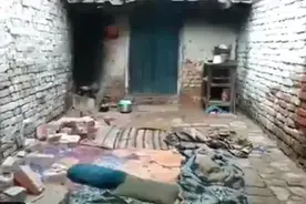 印度一群猴子狠劲推倒一堵墙，砸死在墙角睡觉的母子五人图片