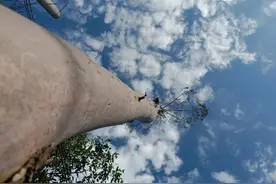 天空是蔚蓝色图片