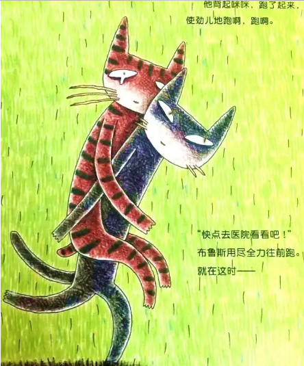 绘本推荐 |《虎斑猫和黑猫》一个温暖人心的友情故事