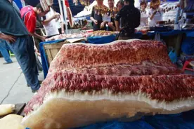 这块巨型“猪肉”被标价108万，肥瘦层次分明令人叹为观止图片