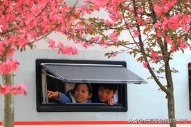 河南鄢陵：探访中原首家房车露营基地 “旅游+扶贫”让景美人更乐图片