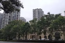 头都大了，杭州一小区黄金蟒出逃：人人自危！蟒蛇究竟怕什么？图片