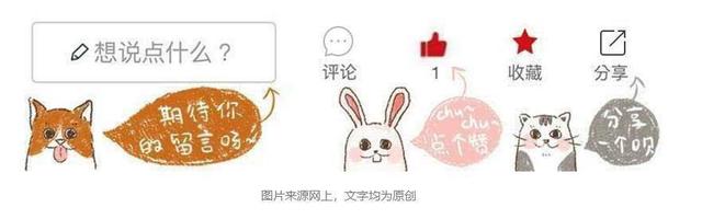 辟谣，狗狗夜间看不见只能靠听声音？并非如此，狗眼夜间还能发光