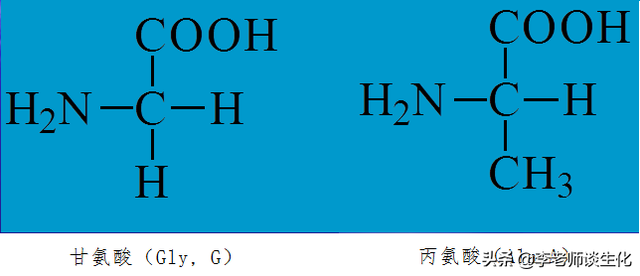 基本氨基酸的一些基本知识：结构、特点与记忆方法