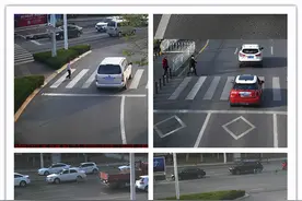 速看！斑马线前不礼让行人，临沂这些路口，抓拍图片