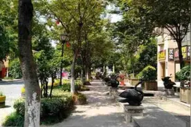 扬州“第一大镇”，由4镇合并形成，是苏中、苏北核心木材集散地图片