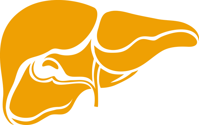 小分子肽对肝脏有害吗 2024年最新小分子肽对肝脏有害吗