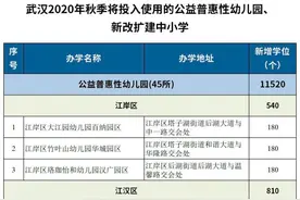 新学期，武汉将“上新”63所学校、幼儿园图片