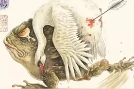 蛤蟆天鹅本天生一对同只天鹅同只蛤蟆不同版面图片