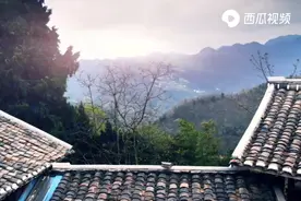 如何采摘天然"补肝肾、强筋骨"的川杜仲皮，西瓜视频走进秦岭图片