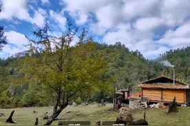 民间故事：男子上坟回来，遇到了一只黄鼠狼，一个屁险些送了命图片