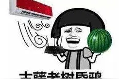 广东“吃瓜群众”在这方面得了全国第一！其他省份表示不服......图片