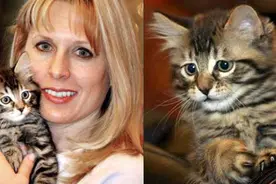 史上卖得最贵的10种动物，网友感叹：活得还不如一只昆虫图片