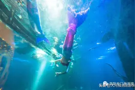 落入凡间的人鱼城堡｜龙门海洋馆在小孩与大人的转角处盖了一座城堡图片