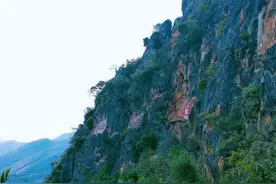 你当像鱼，只有七秒钟的记忆。图片