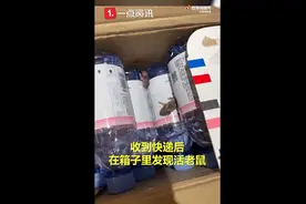 杭州一女子网购矿泉水出现2只活老鼠：客服称补偿20元图片