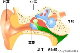 耳痛就是中耳炎吗？儿童和成人耳痛原因各不同图片